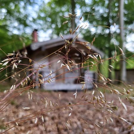 Bjaernhultsgardens Stugor Linderod Exteriör bild