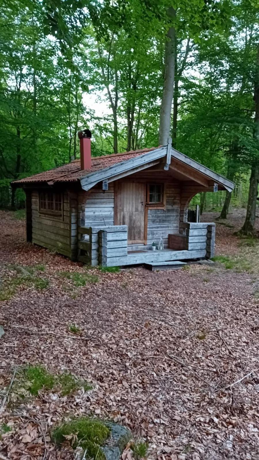 Bjaernhultsgardens Stugor Linderod Exteriör bild