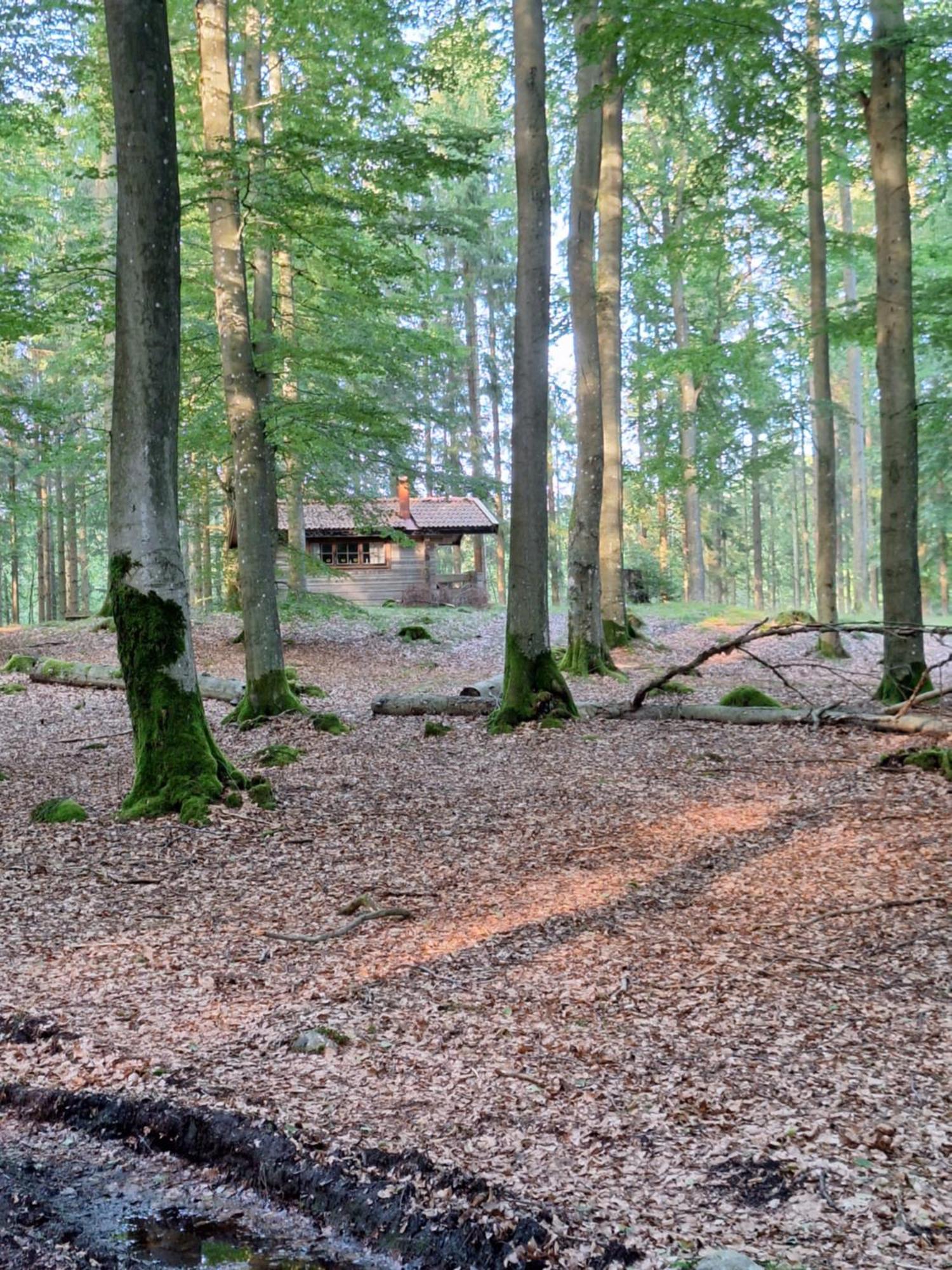 Bjaernhultsgardens Stugor Linderod Exteriör bild